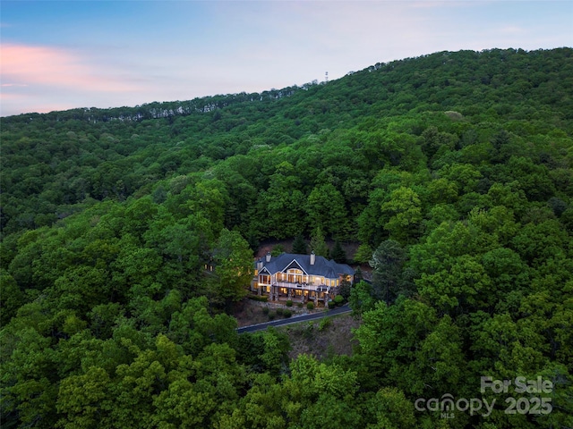 714 Wickhams Fancy Dr, Biltmore Lake, NC 28715 - drone / aerial view with a forest view