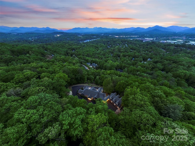 714 Wickhams Fancy Dr, Biltmore Lake, NC 28715 - aerial view featuring a view of trees and a mountain view