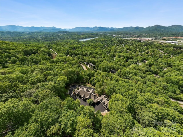 714 Wickhams Fancy Dr, Biltmore Lake, NC 28715 - drone / aerial view with a wooded view and a water and mountain view