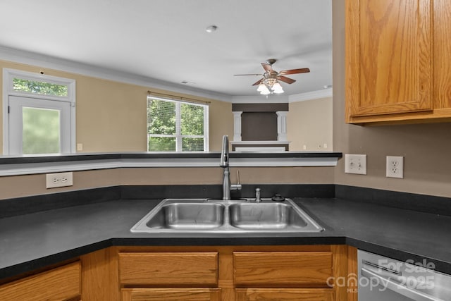 kitchen with a sink, plenty of natural light, stainless steel dishwasher, and a ceiling fan