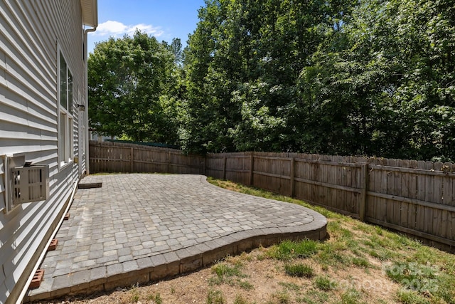 view of yard with a fenced backyard and a patio area