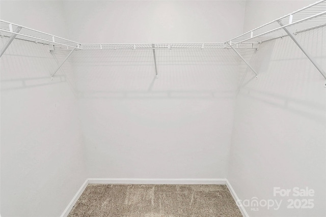 2635 Mccurdy Trl, Charlotte, NC 28269 - photo 24