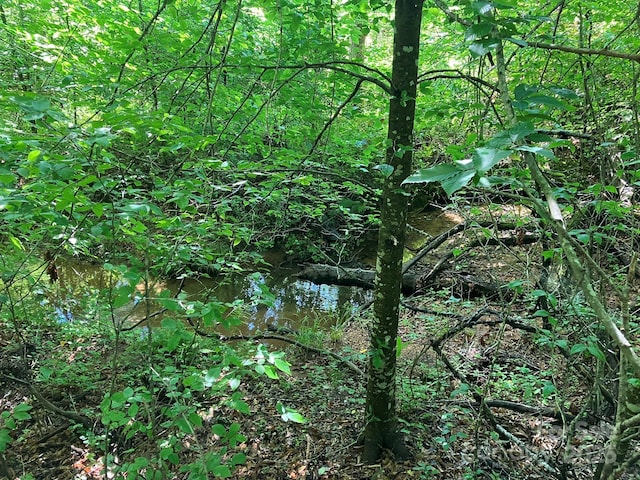 0 Padgett-Burns Rd Unit 20, Forest City, NC 28043