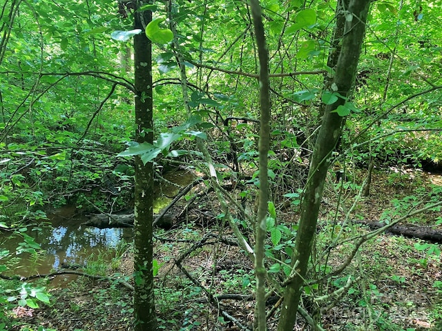 0 Padgett-Burns Rd Unit 20, Forest City, NC 28043