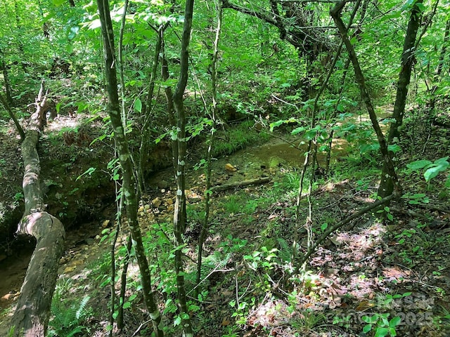 0 Padgett-Burns Rd Unit 20, Forest City, NC 28043