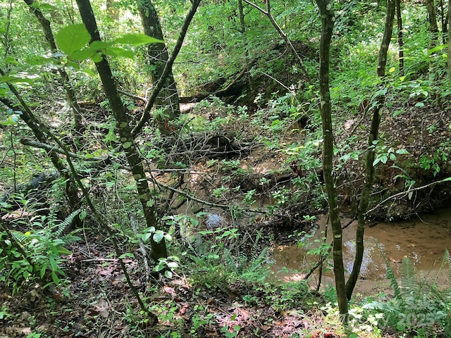 0 Padgett-Burns Rd Unit 20, Forest City, NC 28043