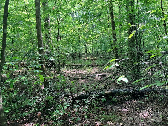 0 Padgett-Burns Rd Unit 20, Forest City, NC 28043