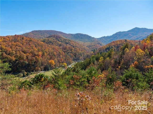 99999 Turkey Creek Rd Unit 1 & 2, Leicester, NC 28748 - photo 1