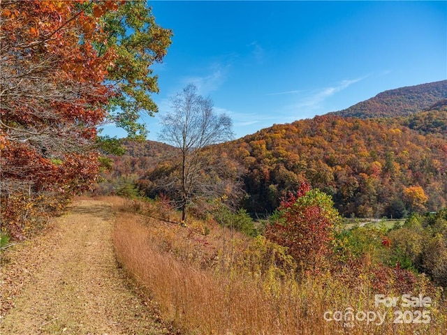99999 Turkey Creek Rd Unit 1 & 2, Leicester, NC 28748 - photo 2