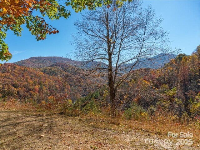 99999 Turkey Creek Rd Unit 1 & 2, Leicester, NC 28748 - photo 3