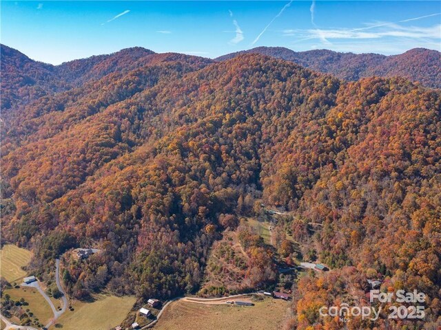 99999 Turkey Creek Rd Unit 1 & 2, Leicester, NC 28748 - photo 4