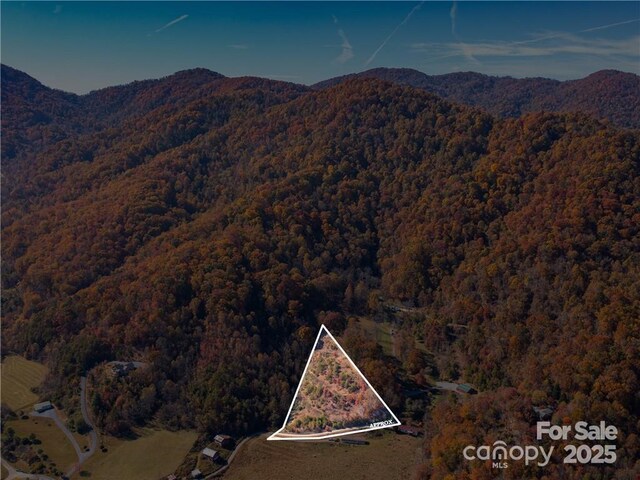 99999 Turkey Creek Rd Unit 1 & 2, Leicester, NC 28748 - photo 5