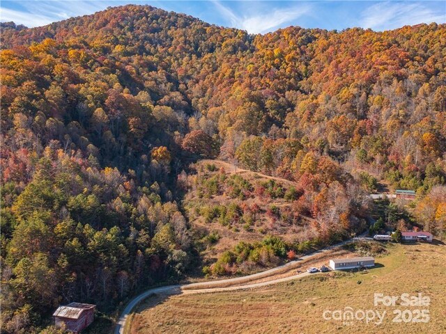 99999 Turkey Creek Rd Unit 1 & 2, Leicester, NC 28748 - photo 6