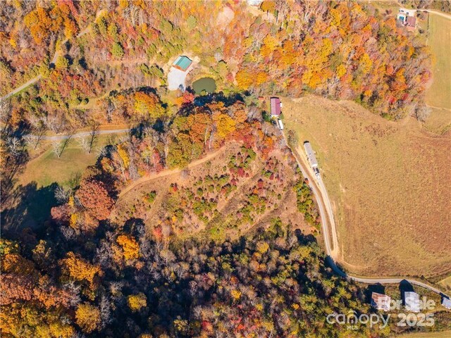99999 Turkey Creek Rd Unit 1 & 2, Leicester, NC 28748 - photo 7