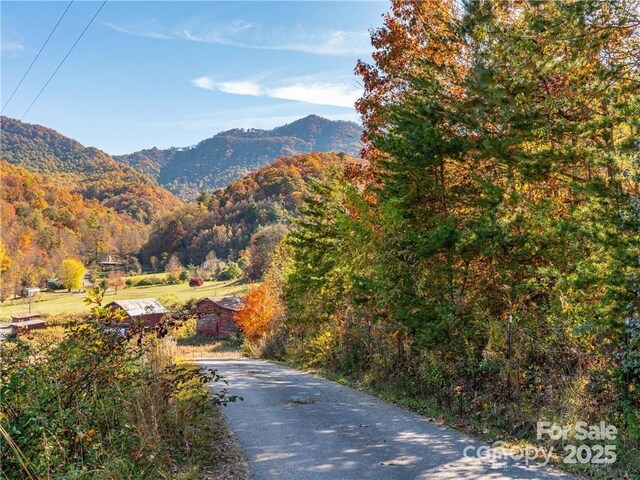 99999 Turkey Creek Rd Unit 1 & 2, Leicester, NC 28748 - photo 8
