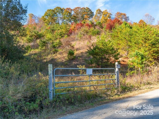 99999 Turkey Creek Rd Unit 1 & 2, Leicester, NC 28748 - photo 10
