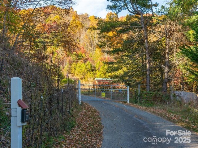 99999 Turkey Creek Rd Unit 1 & 2, Leicester, NC 28748 - photo 11