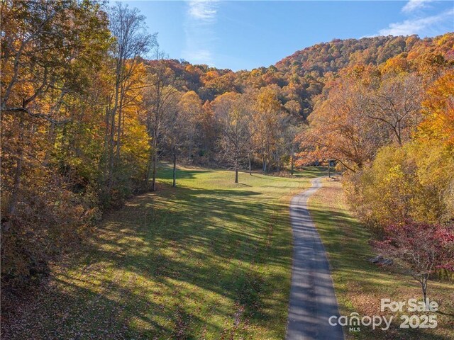 99999 Turkey Creek Rd Unit 1 & 2, Leicester, NC 28748 - photo 12