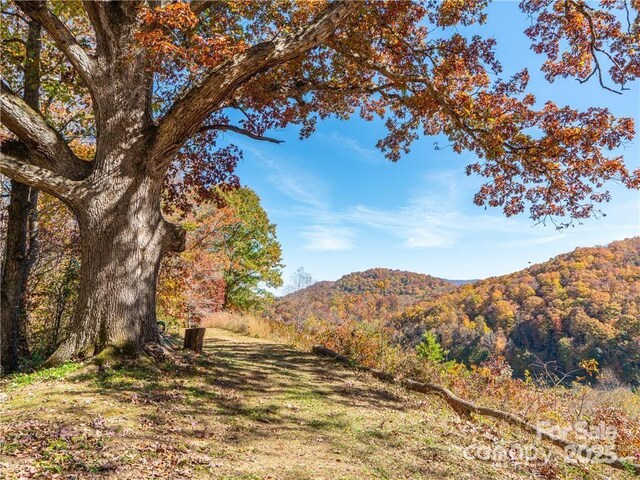 99999 Turkey Creek Rd Unit 1 & 2, Leicester, NC 28748 - photo 13