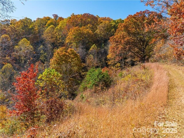 99999 Turkey Creek Rd Unit 1 & 2, Leicester, NC 28748 - photo 14