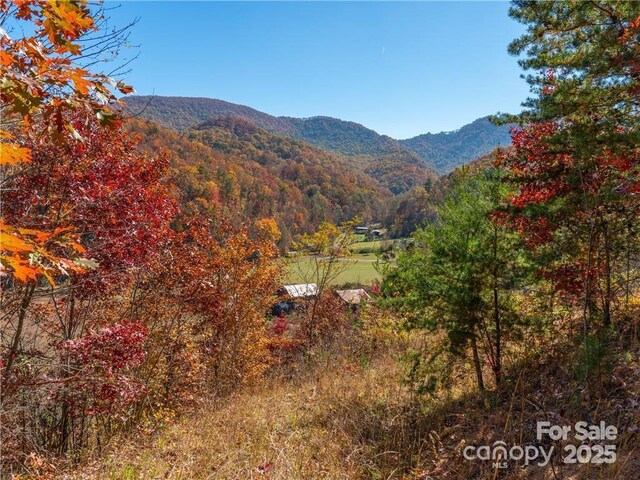 99999 Turkey Creek Rd Unit 1 & 2, Leicester, NC 28748 - photo 15