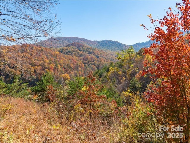 99999 Turkey Creek Rd Unit 1 & 2, Leicester, NC 28748 - photo 17