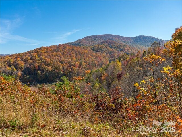 99999 Turkey Creek Rd Unit 1 & 2, Leicester, NC 28748 - photo 18