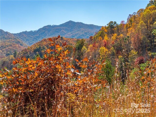 99999 Turkey Creek Rd Unit 1 & 2, Leicester, NC 28748 - photo 19