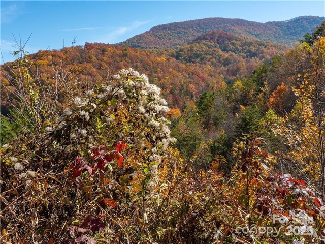 99999 Turkey Creek Rd Unit 1 & 2, Leicester, NC 28748 - photo 20