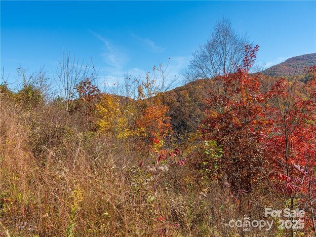 99999 Turkey Creek Rd Unit 1 & 2, Leicester, NC 28748 - photo 21