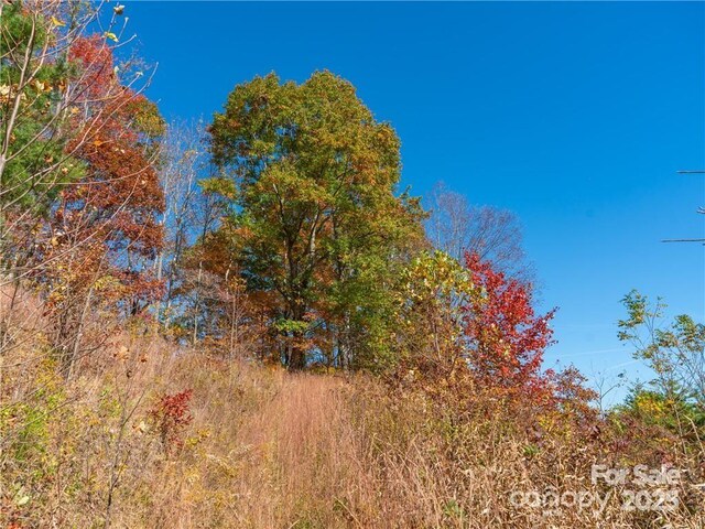 99999 Turkey Creek Rd Unit 1 & 2, Leicester, NC 28748 - photo 22