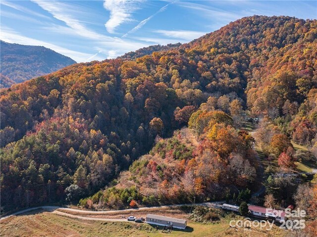 99999 Turkey Creek Rd Unit 1 & 2, Leicester, NC 28748 - photo 23