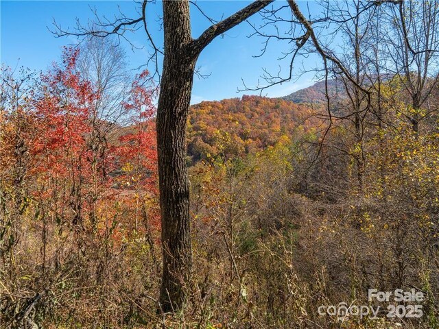 99999 Turkey Creek Rd Unit 1 & 2, Leicester, NC 28748 - photo 24