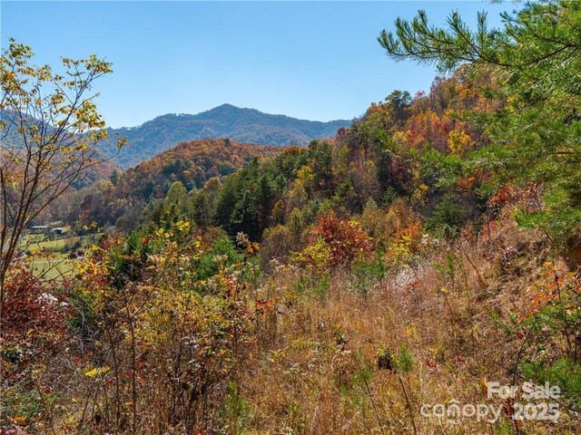 99999 Turkey Creek Rd Unit 1 & 2, Leicester, NC 28748 - photo 25