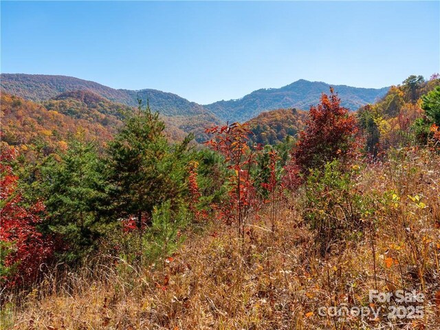 99999 Turkey Creek Rd Unit 1 & 2, Leicester, NC 28748 - photo 27