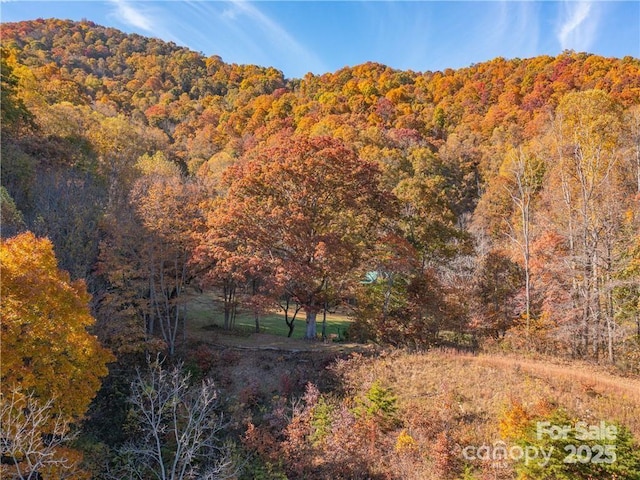 99999 Turkey Creek Rd Unit 1 & 2, Leicester, NC 28748 - photo 28