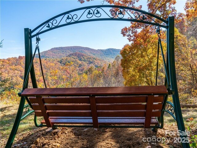 99999 Turkey Creek Rd Unit 1 & 2, Leicester, NC 28748 - photo 29