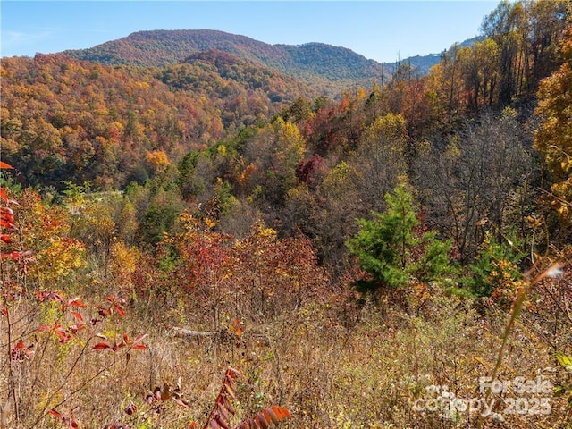 99999 Turkey Creek Rd Unit 1 & 2, Leicester, NC 28748 - photo 30