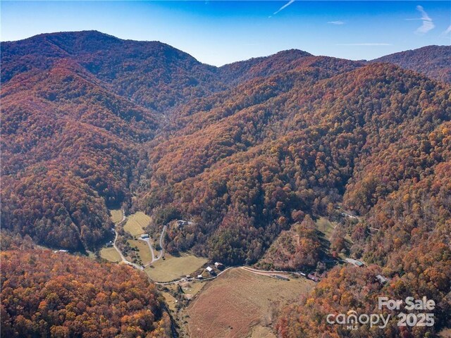 99999 Turkey Creek Rd Unit 1 & 2, Leicester, NC 28748 - photo 31