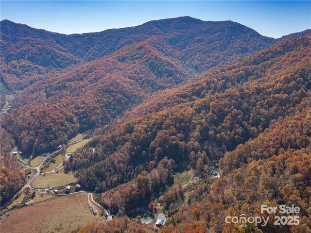 99999 Turkey Creek Rd Unit 1 & 2, Leicester, NC 28748 - photo 32