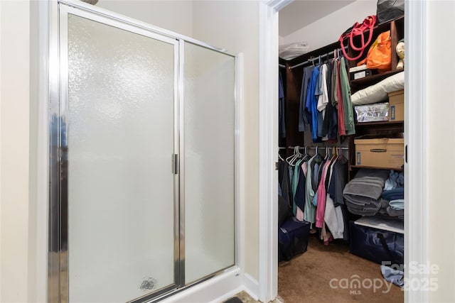 bathroom featuring a walk in closet and a shower stall