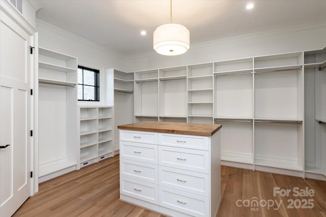 spacious closet with light wood-type flooring