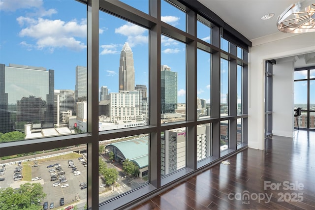 interior space with baseboards, a city view, floor to ceiling windows, and wood finished floors