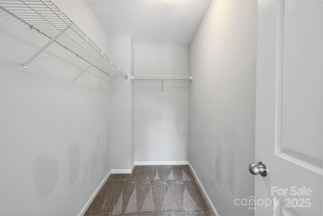 1175 Valley St Unit 111, Statesville, NC 28677 - spacious closet with carpet