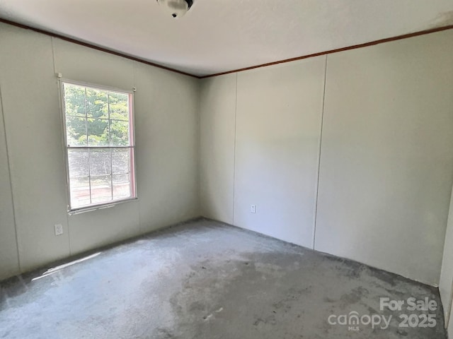 carpeted empty room featuring ornamental molding