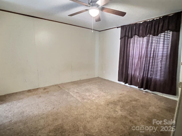spare room with carpet flooring and ceiling fan