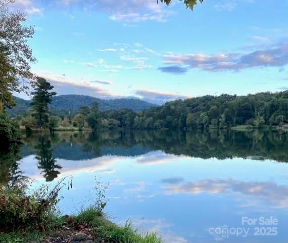 8 Midland Dr, Asheville, NC 28804 - photo 6