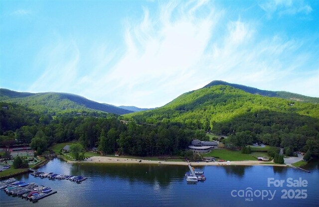 mountain view featuring a heavily wooded area and a large body of water
