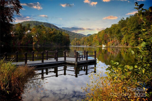 dock area with a forest view and a water and mountain view