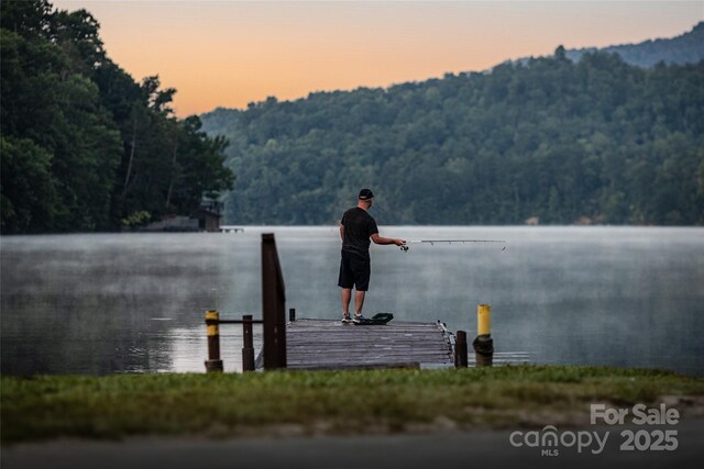 water view featuring a heavily wooded area and a boat dock